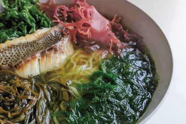 Ensuring Accessibility